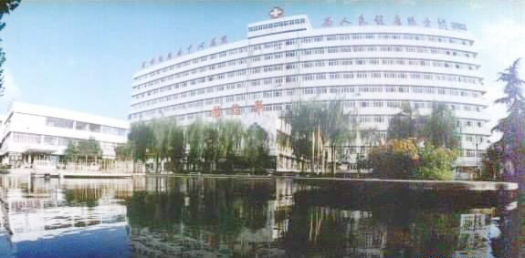 cd02.jpg